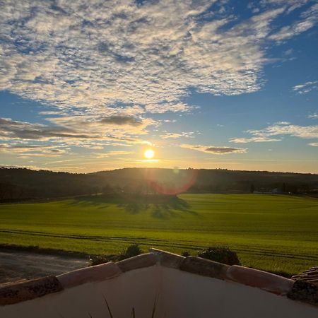 Mas Des Magnarelles / Uzes / Cevennes Villa Mejannes-les-Ales Bagian luar foto